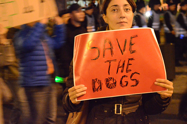 unitisalvam-rosiamontana_13oct2013 - Save the dogs